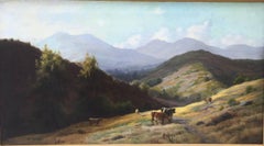 Cattle Grazing in the Hills, Marin County, California