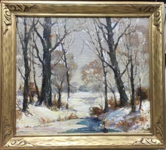 Scena d'inverno nel Wood