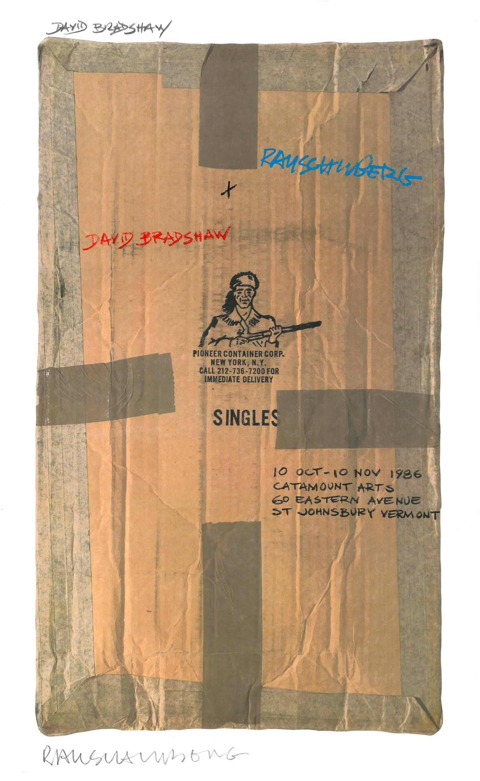 Cowbags - South American Pond - Mixed Media Art by Robert Rauschenberg