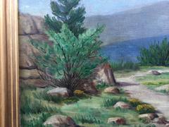 Mountain Landscape