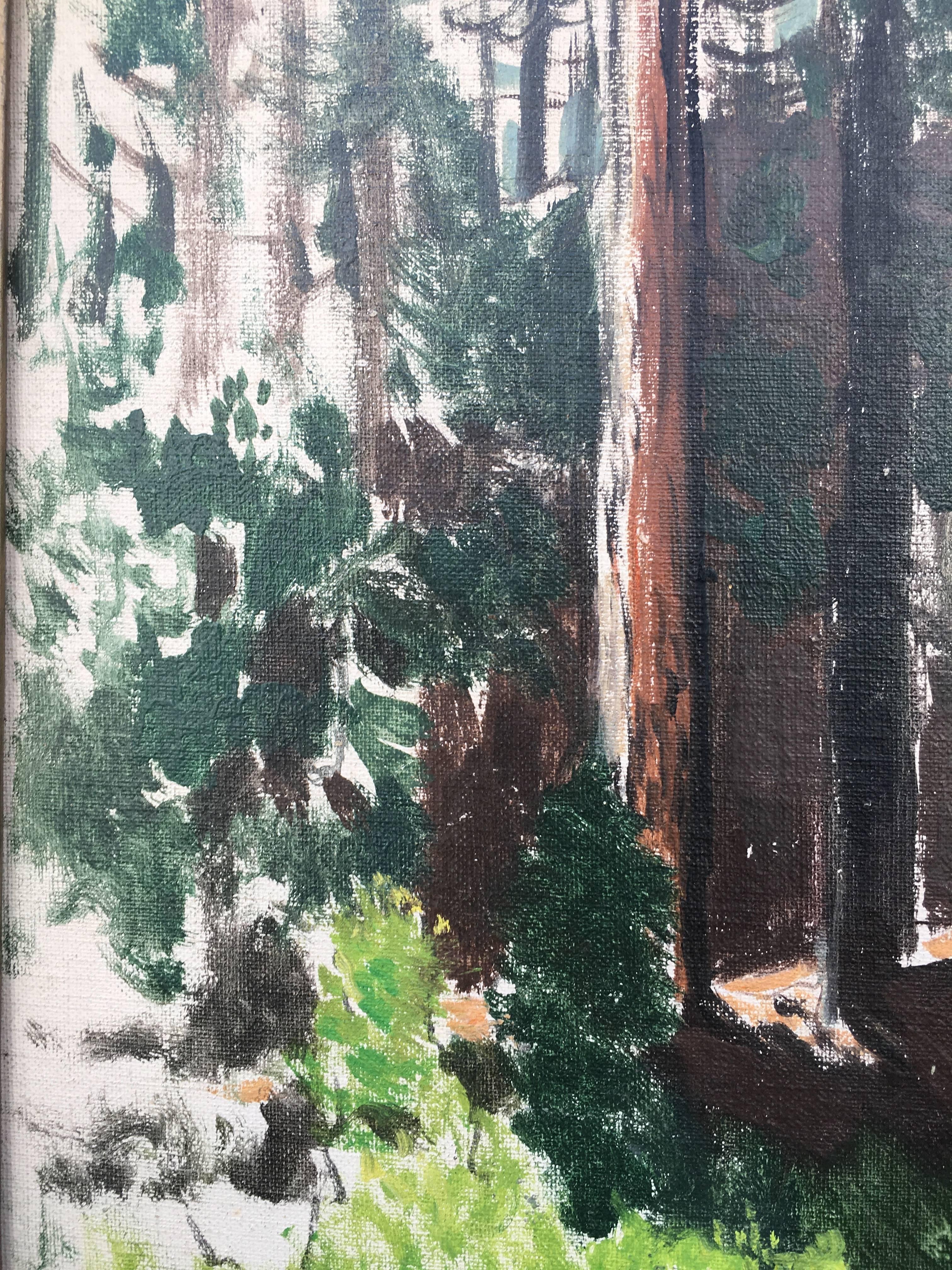 Redwoods, McCloud River, California - Painting by James Swinnerton