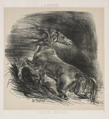 Wild Horse, 1828