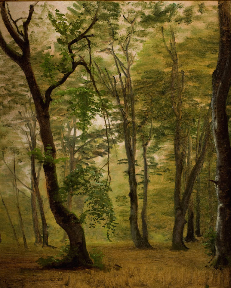 P.C. Skovgaard Landscape Painting - Oil study In the woods