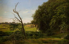 Study of a landscape with trees and fields