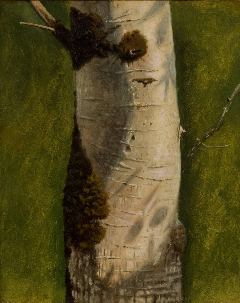Christen Dalsgaard Landscape Painting - Study of a birch treetrunk
