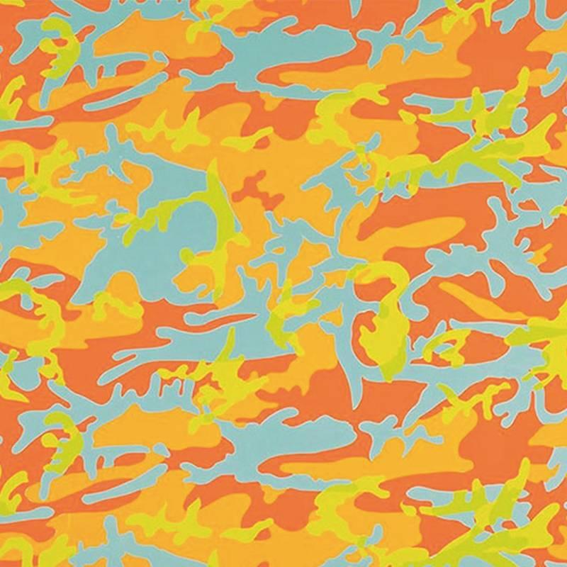 Andy Warhol Abstract Print - Camouflage FS.II 413