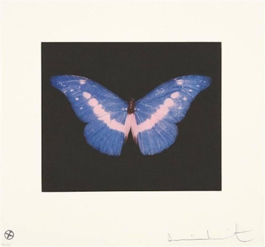 Damien Hirst Animal Print - To Belong, Butterfly Landscape 