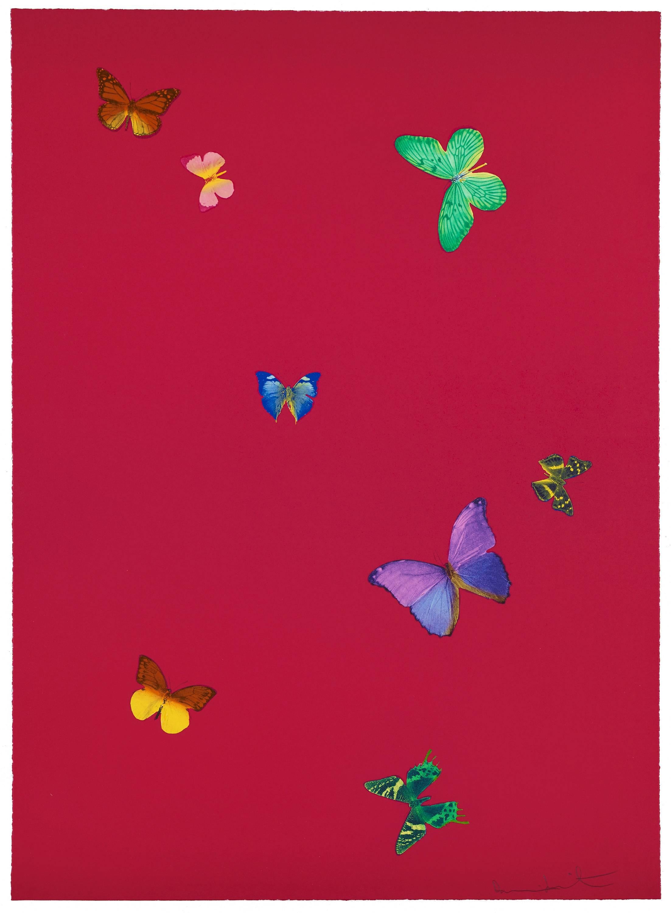 Damien Hirst Animal Print - The Wonder of You (Red)