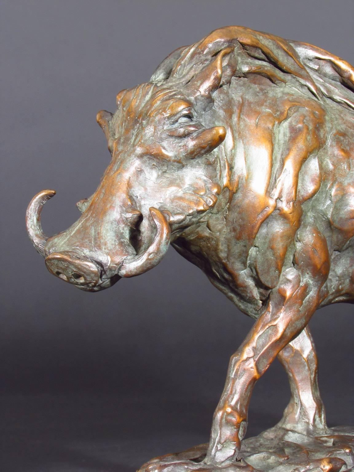 Limited edition contemporary bronze sculpture of a warthog.

Bronze on black granite base.

Signed: Robert Glen        Edition number: 4 of 10

Foundry: Mariani Art Foundry, Italy.

Issued with Certificate of Authenticity signed by Robert