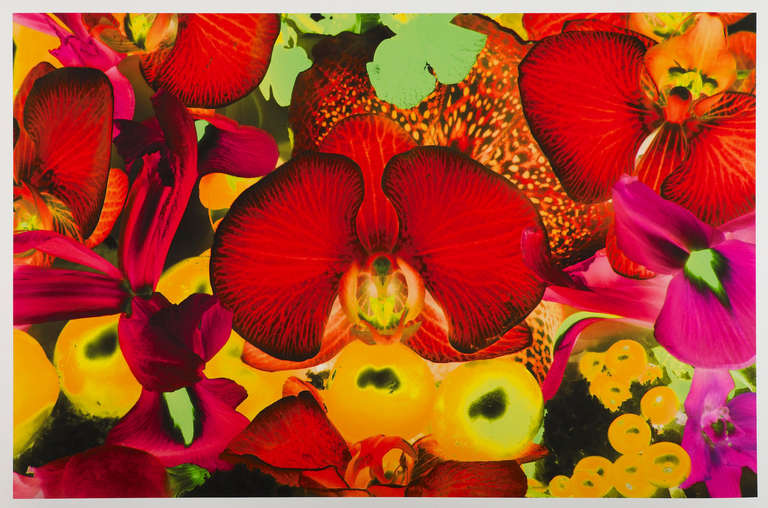 At The Far Edges of the Universe - Contemporary Print by Marc Quinn