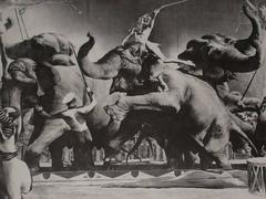 Vintage Elephant Act