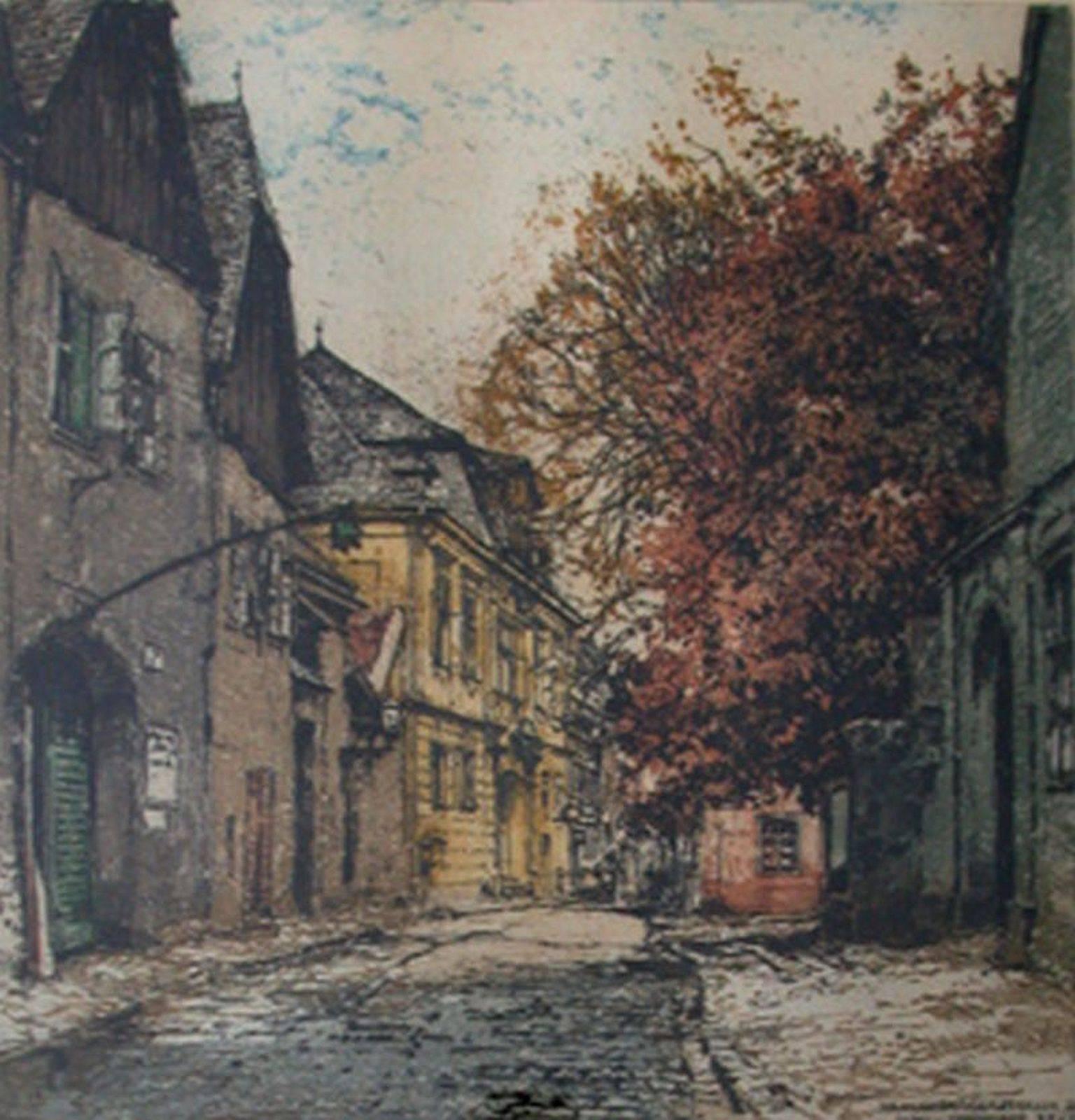 Luigi Kasimir Print - Vienna, Beethoven's House