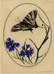 Antique Butterfly