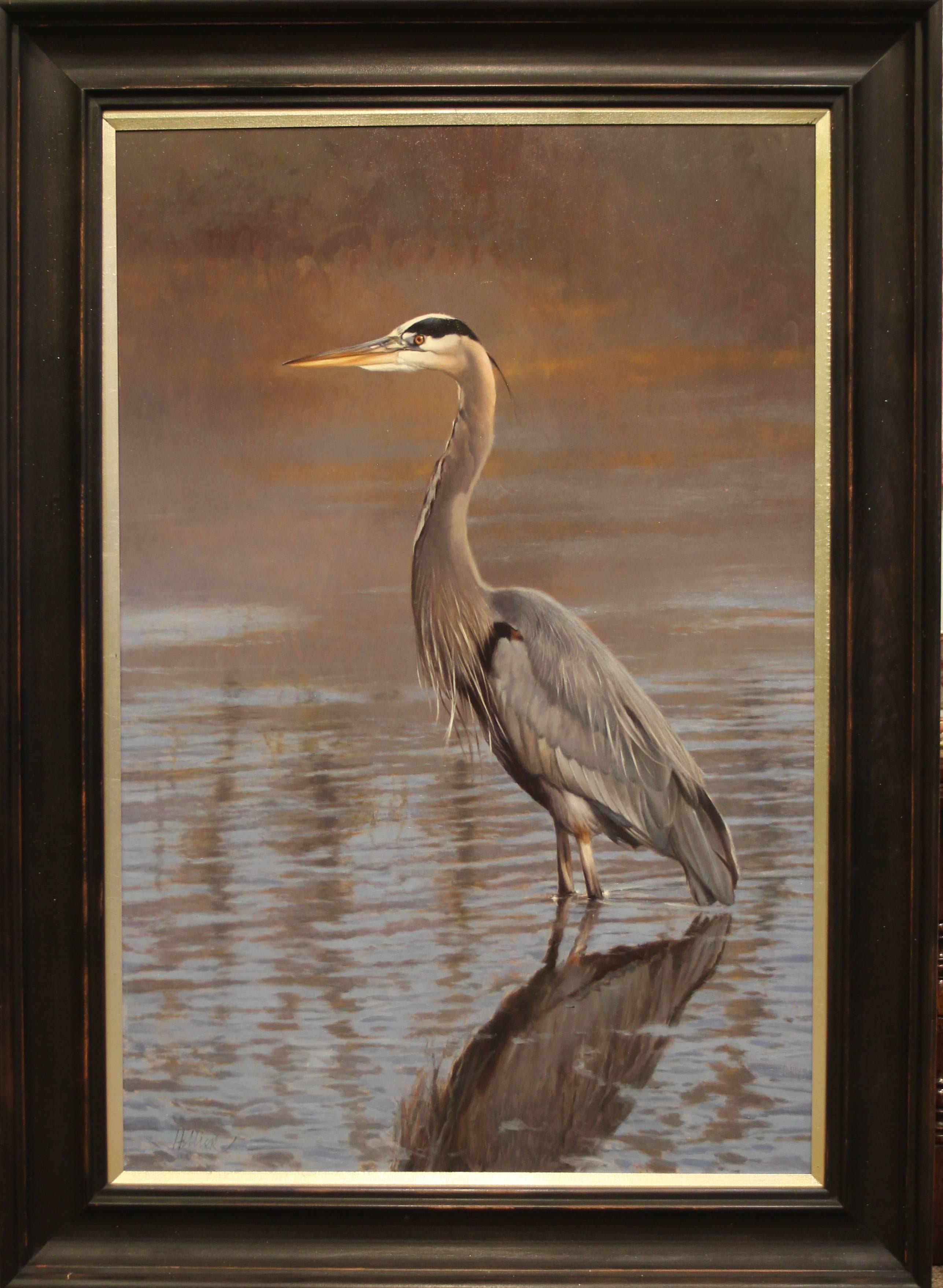 Mathew Hillier Animal Painting - Great Blue Heron
