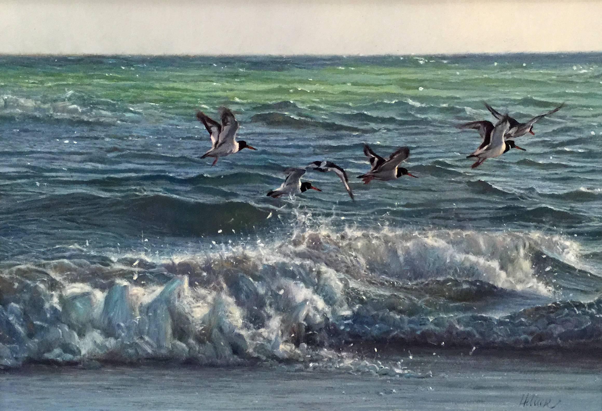 Matthew Hillier Animal Painting - Oystercatchers Flying