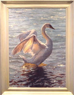 The Swan