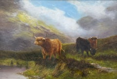 Daniel Sherrin - Highland Cattle