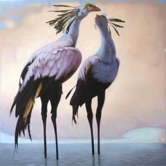 Waterbirds 12