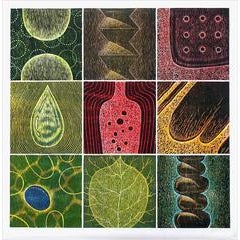Earth Cycle 11