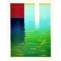 Dragonfly Pond 4