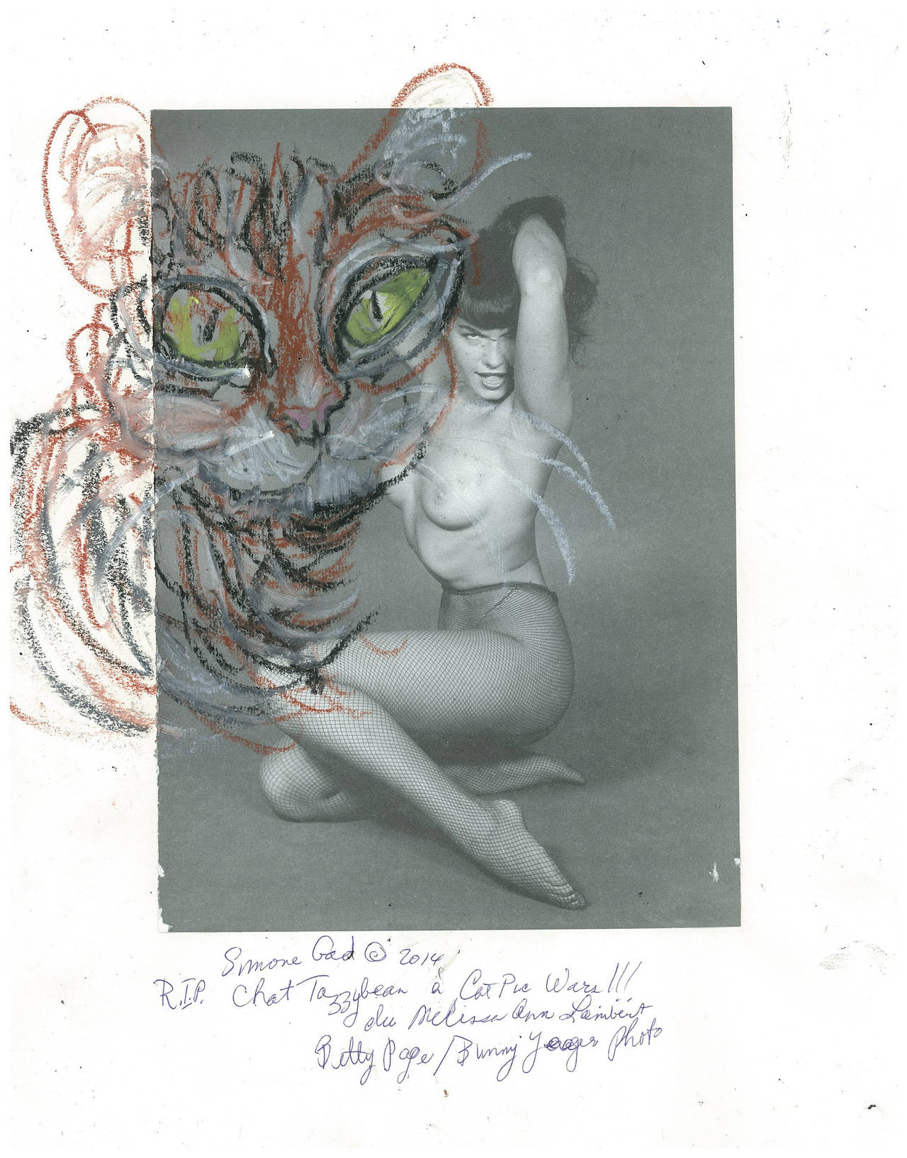 Simone Gad Animal Art - Chat Portrait (Betty Page)