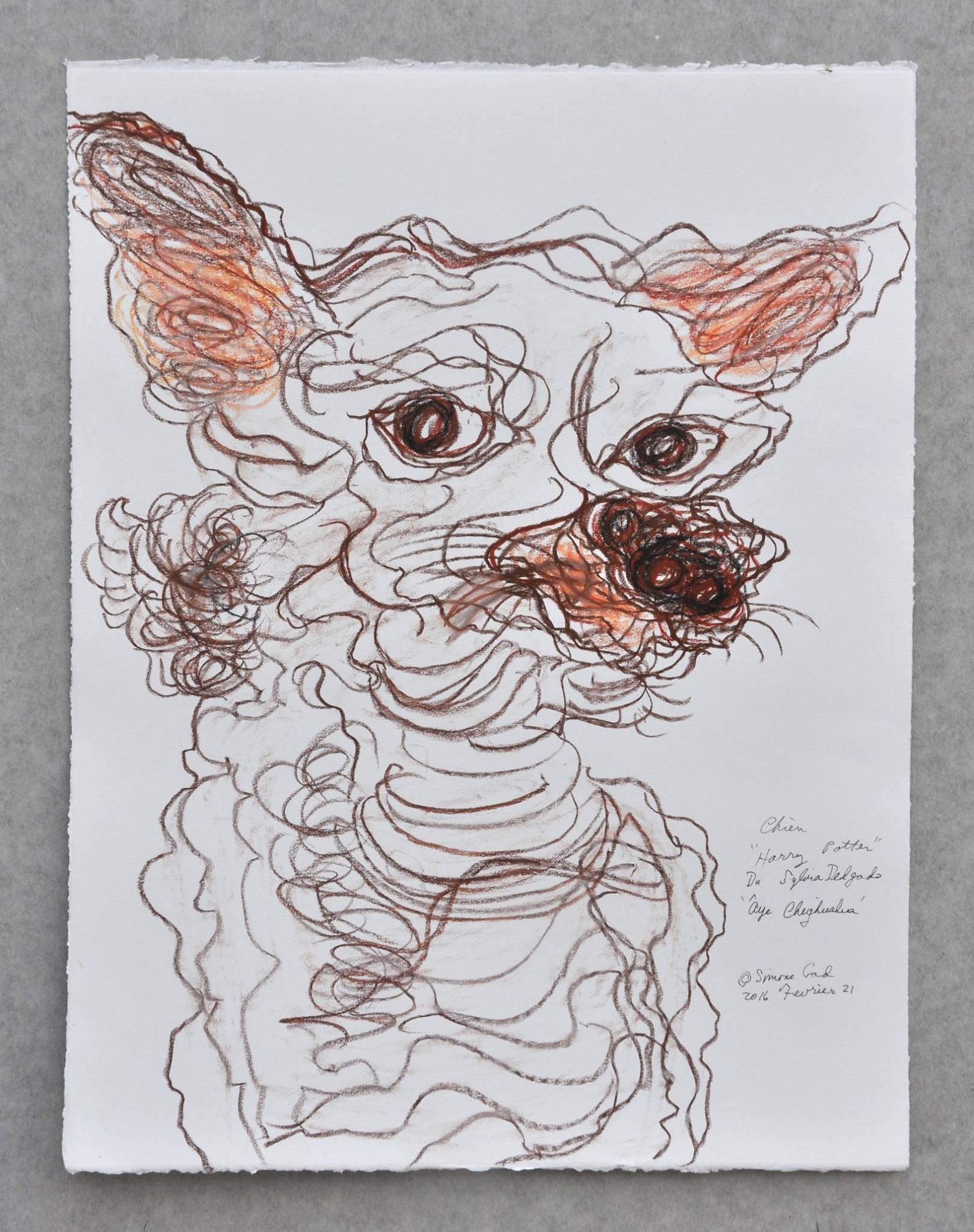 Simone Gad Animal Art - Aye Chichuahua / Harry Potter du Sylvia Delgado