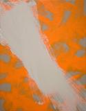 Orange and Grey Disturbance in the Force