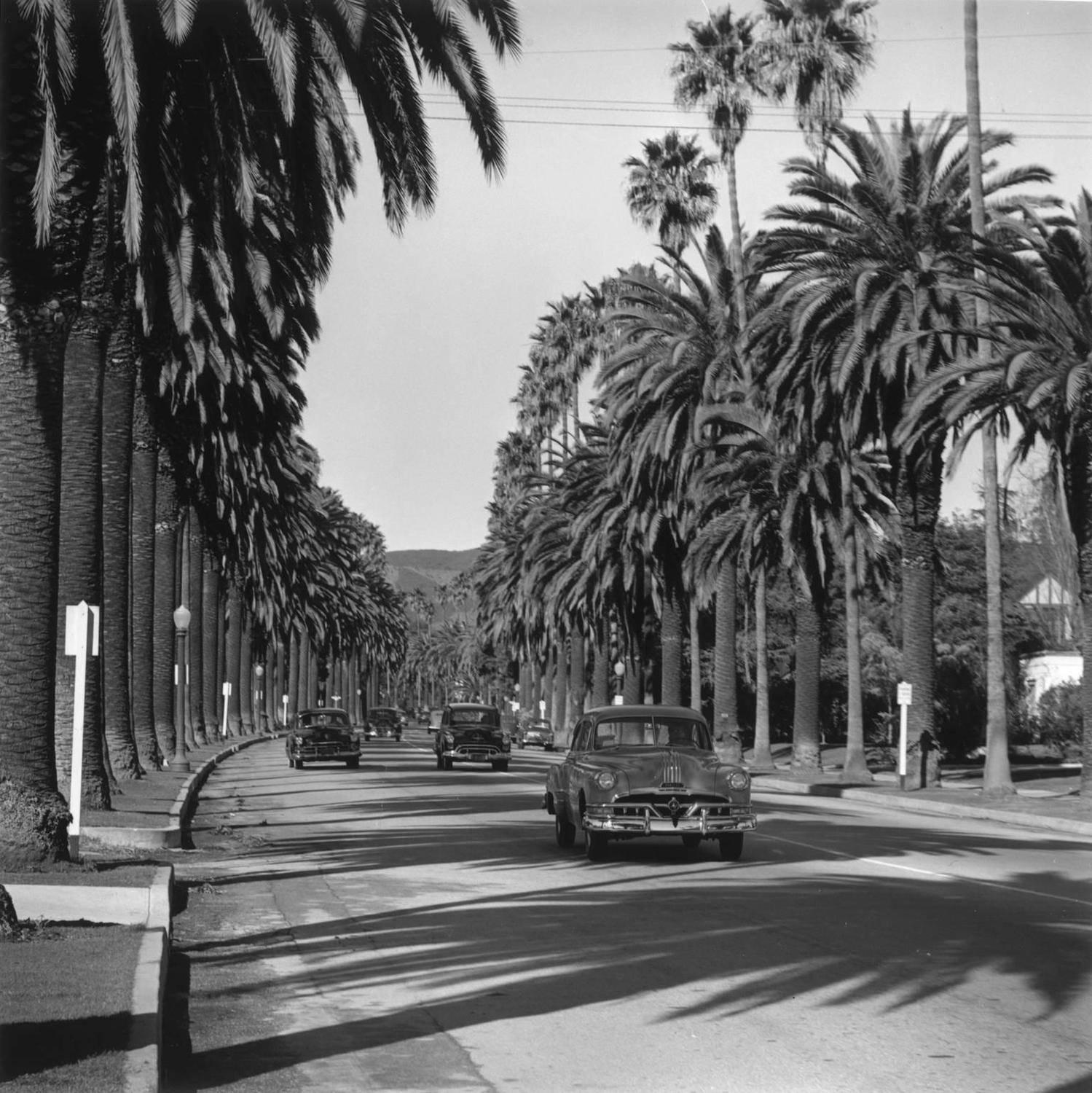 Slim Aarons
Cannon Drive, Beverly Hills, 1952
Chromogenic lambda print
Estate edition of 150

Cars driving along Cannon Drive, Beverly Hills, California, 1952.

Estate stamped and hand numbered edition of 150 with certificate of authenticity