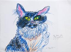 Chat Bleu 2