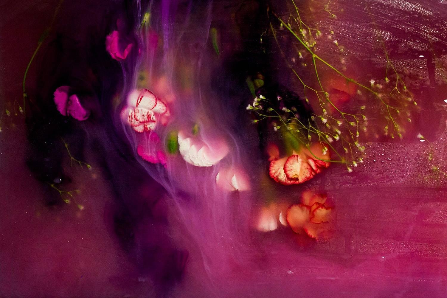 Ashley G. Garner Color Photograph - Purple Experiment