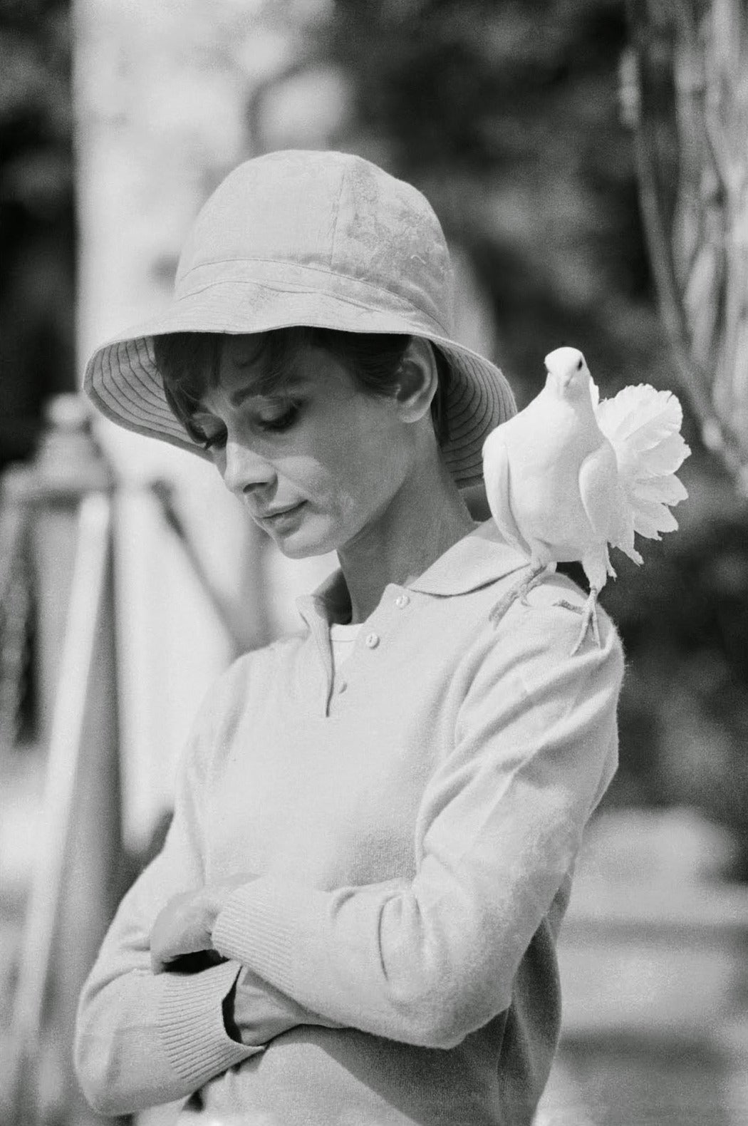 Terry O'Neill Black and White Photograph - Audrey Hepburn "Dove", St Tropez
