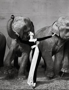 Dovima avec éléphants:: 1955