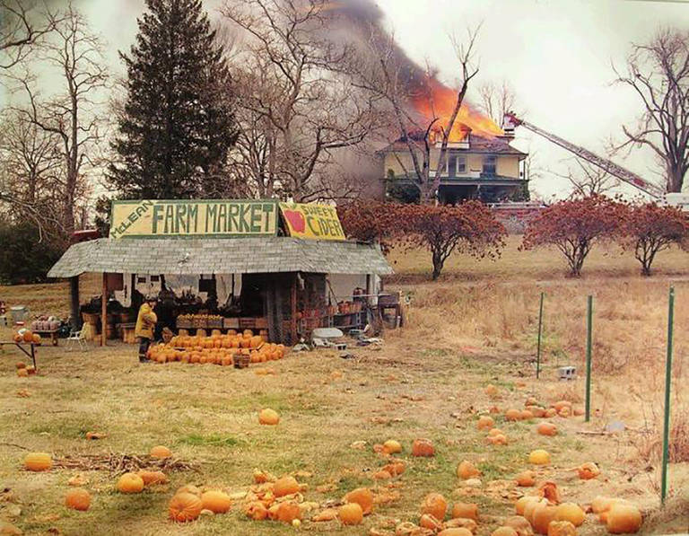 Landscape Photograph di Joel Sternfeld - McLean, VA, 4 dicembre 1978