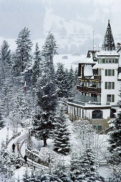Vintage Grand Hotel Alpina (Aarons Estate Edition)
