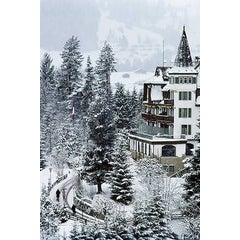 Grand Hotel Alpina (Aarons Estate Edition) 12