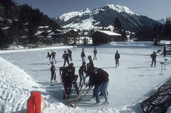 Vintage Ice Hockey (Aaron Estate Edition)