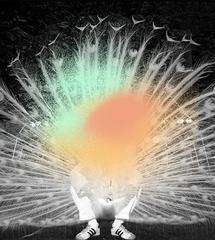 Feathered up Peacock II