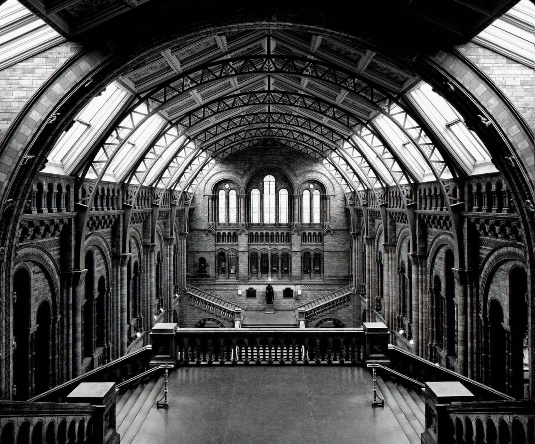 Black and White Photograph Massimo Listri - Musée d'histoire naturelle de Londres, 2005