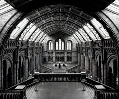 Natural History Museum, Londra, 2005