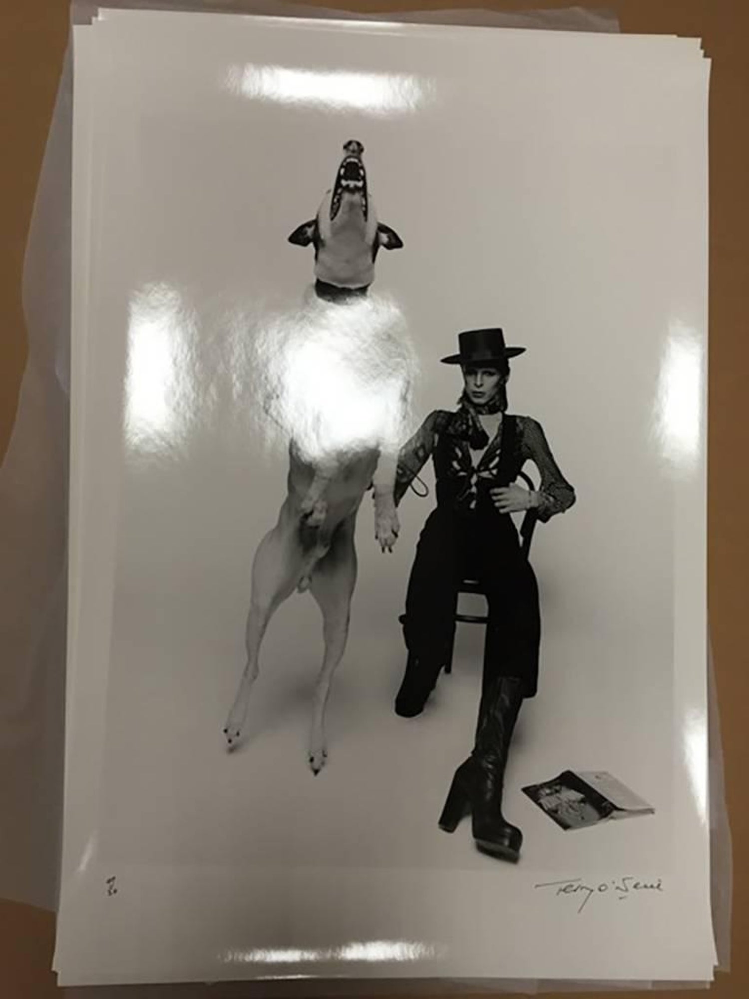 Terry O'Neill - David Bowie, Diamond Dogs, London For Sale at 1stDibs