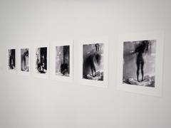 Infinite Exile, after Sylvia Plath’s Ariel (Berlin)