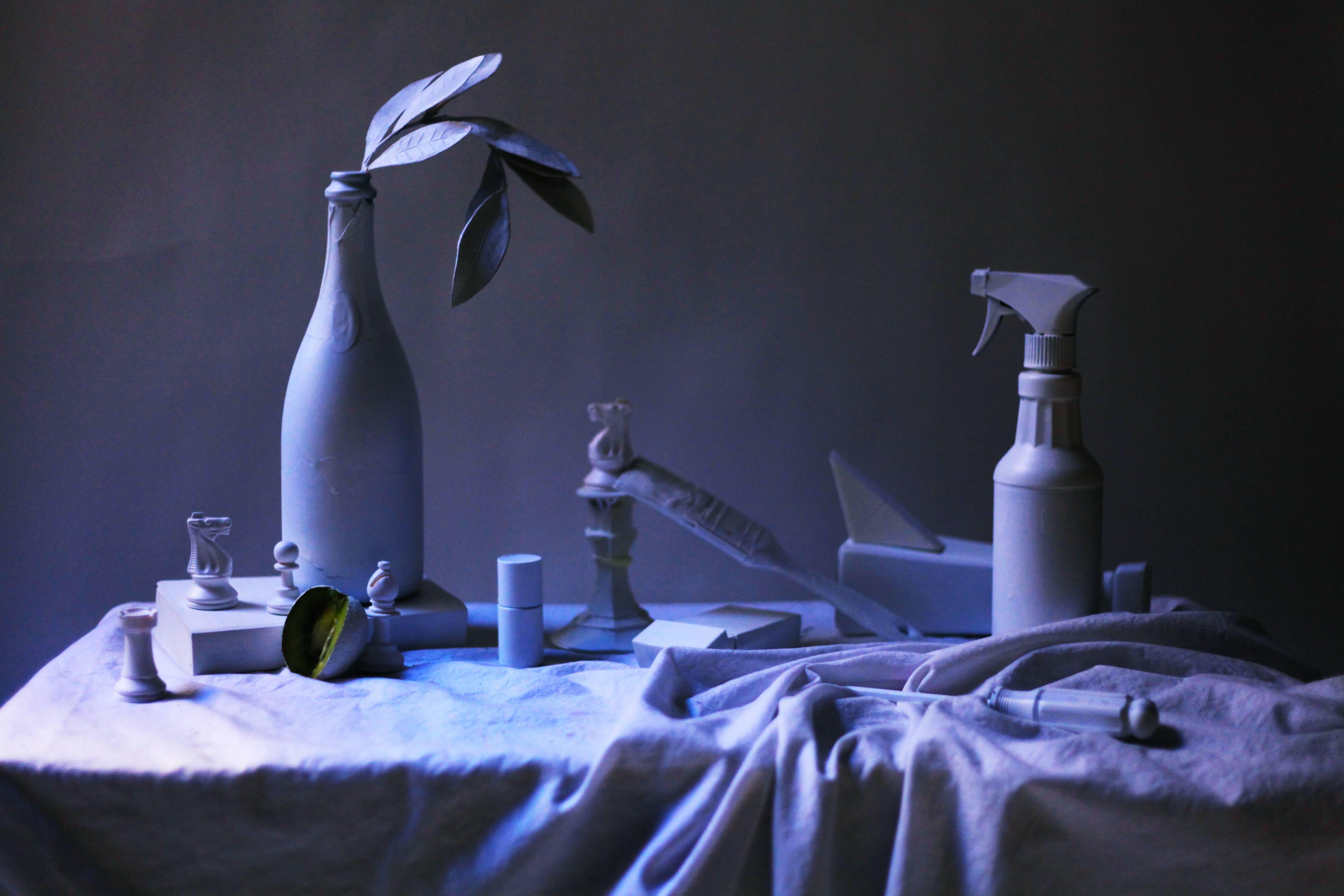 Still-Life Photograph de Ashley G. Garner - Bodegón de estudio de frutas (Kiwi)