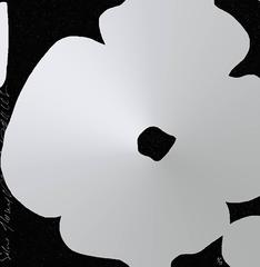 Silver Flowers, March 3, 2011 12
