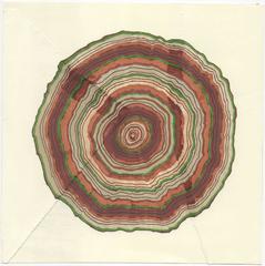 97 Years (Tree Rings Series)