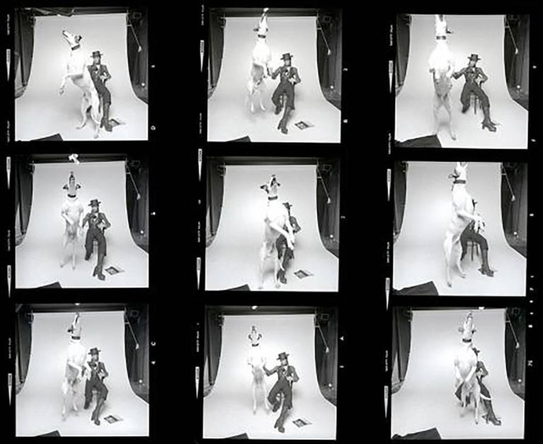 Terry O'Neill Black and White Photograph - David Bowie, Diamond Dog Contact Sheet