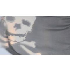 The Pirate Flag 4