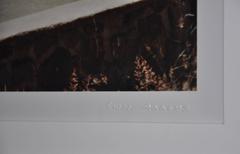 Polo-Match, Argentinien