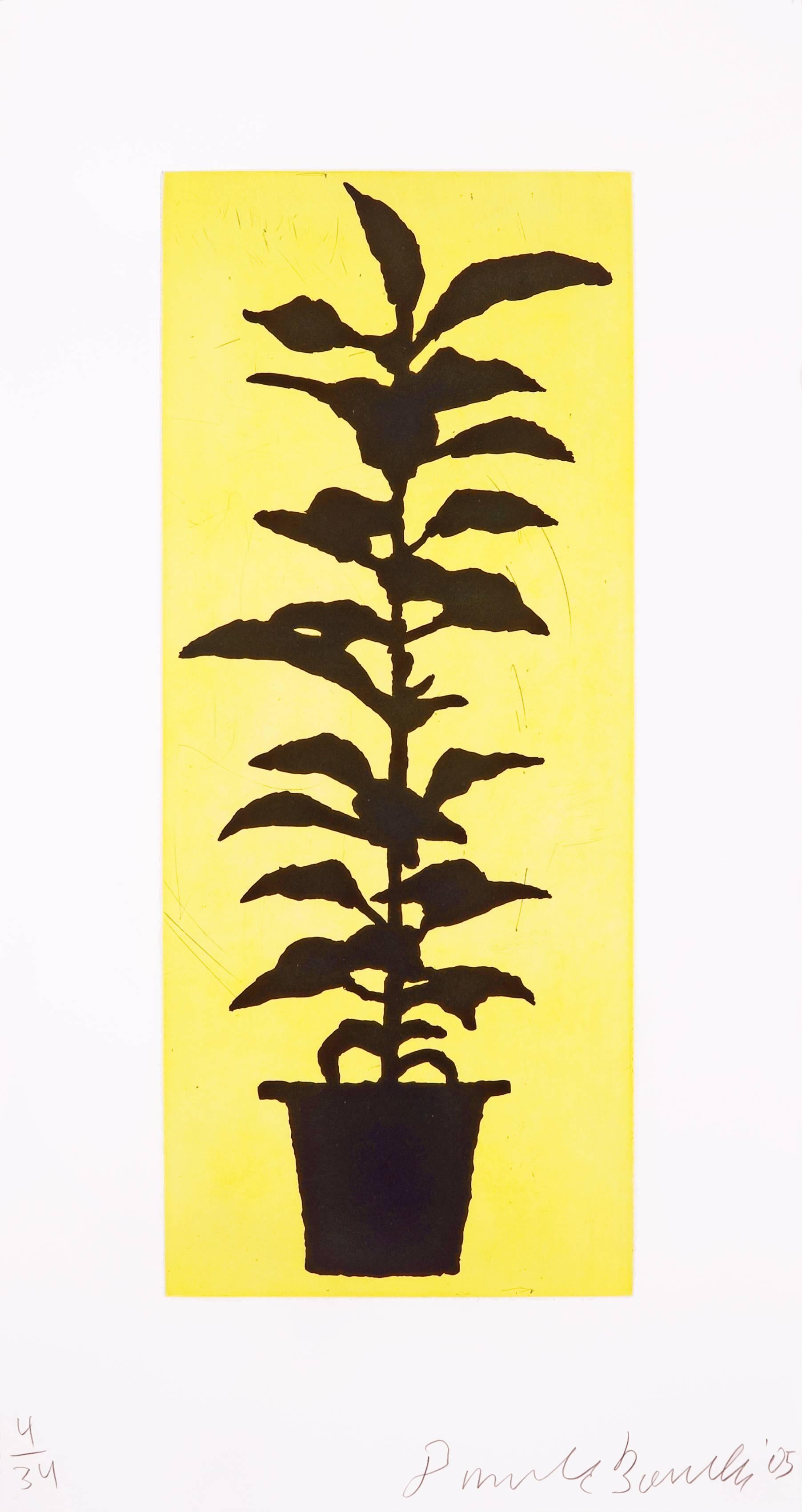 Donald Baechler Abstract Print - Potted Plant