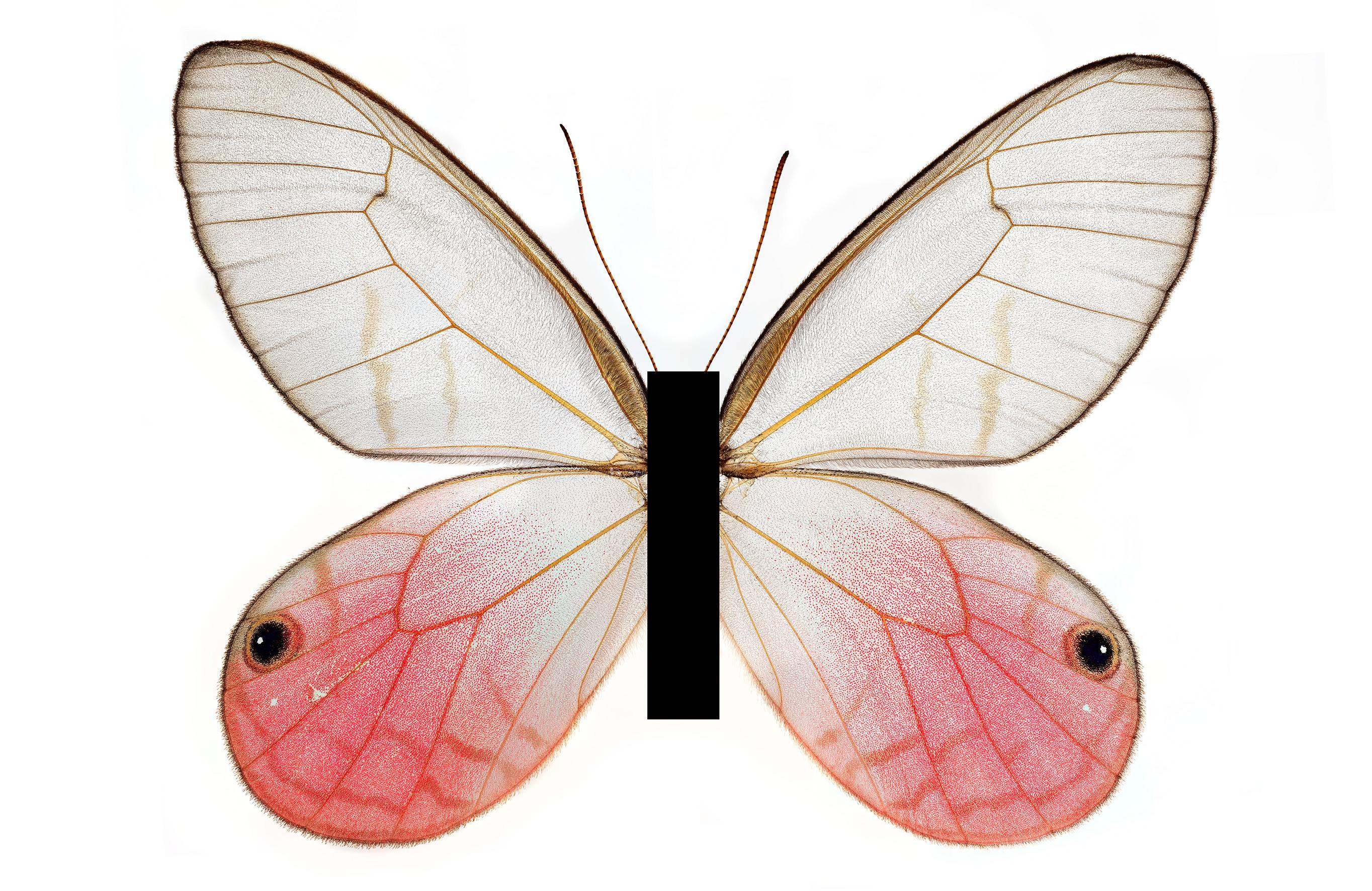 Michael Bachhofer Color Photograph - You are beautiful...