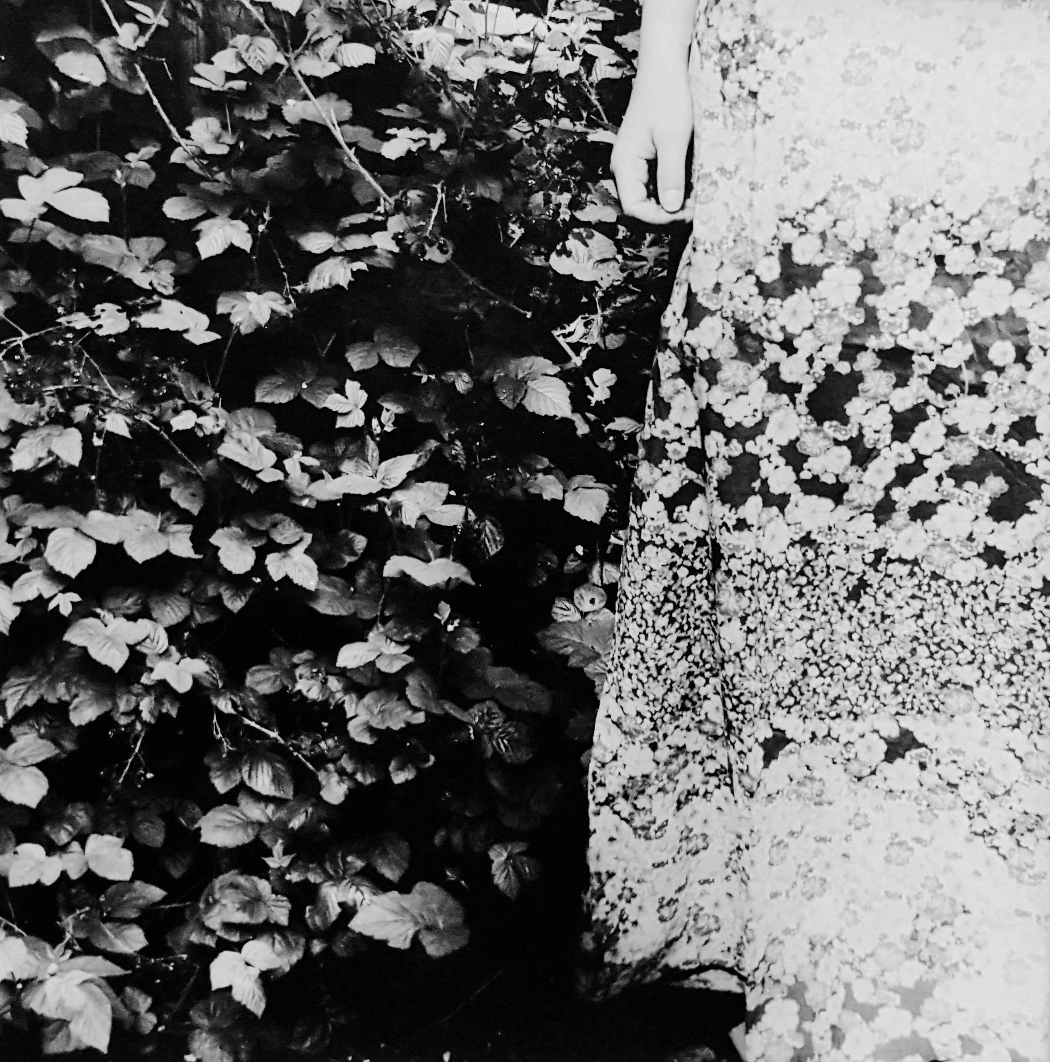 Gerlinde Miesenböck Black and White Photograph - Finding Home (Garden) - Triptych